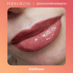 Perma Blend WILDFLOWER 15 ml Dudak İçin Kalıcı Makyaj Boyası