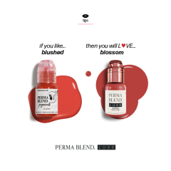 Perma Blend BLUSHED 15 ml Dudak İçin Kalıcı Makyaj Boyası